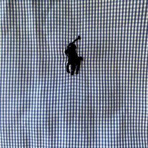 Mens Ralph Lauren Large L Blake Blue Small Gingham Check  Button Down Shirt